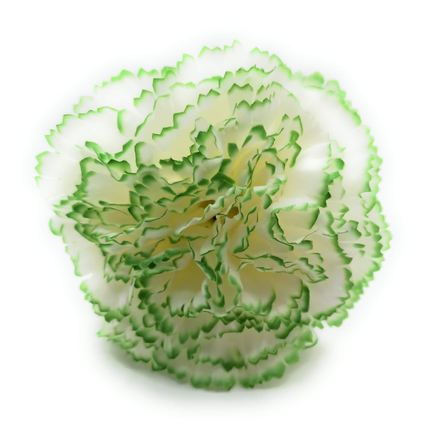 Clavel XL Flor Flamenca Grande Adorno Pelo Mujer · Blanco Verde Ø13cm