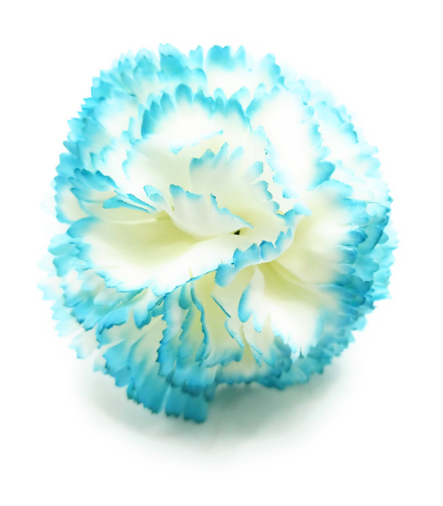 Clavel Flamenco Flor Pelo Ø9cm · Blanco Celeste