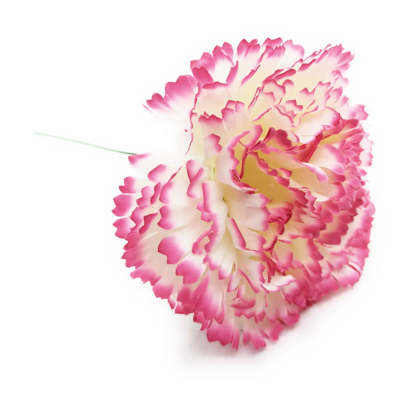 Clavel XL Flor Flamenca Grande Adorno Pelo Mujer · Blanco Fucsia Ø13cm