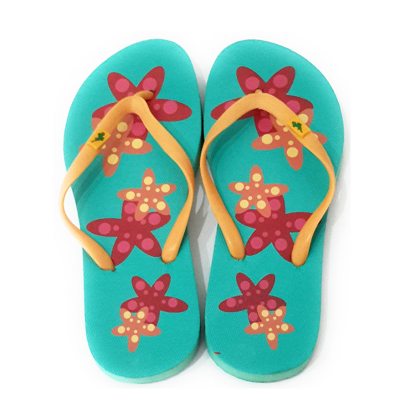 Chanclas de Mujer · Estrella Turquesa T.39 (última unidad!)