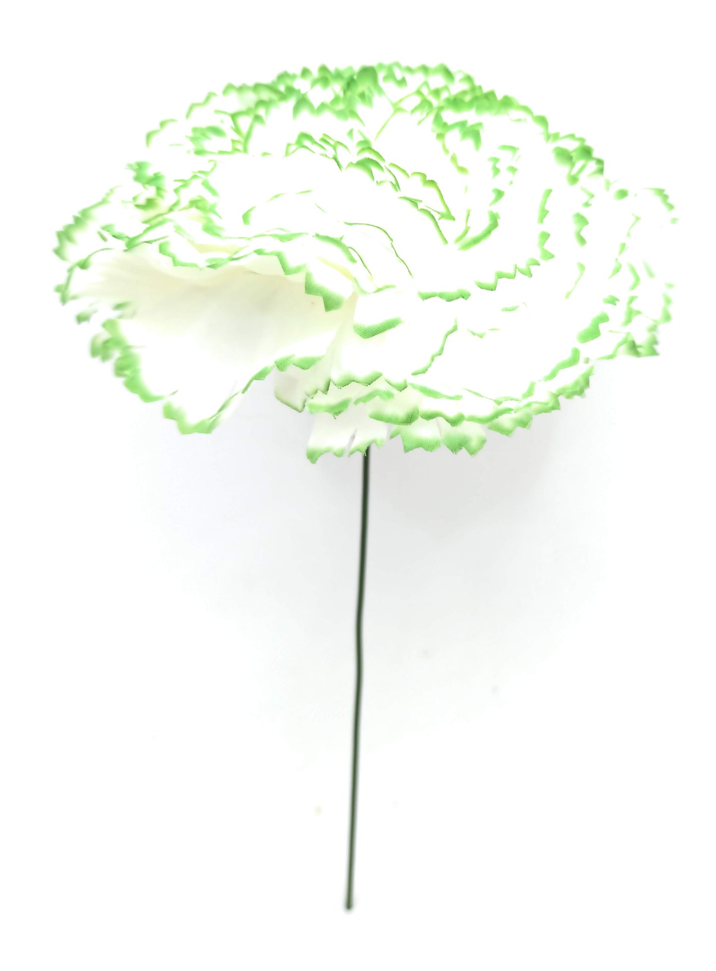 Clavel XL Flor Flamenca Grande Adorno Pelo Mujer · Blanco Verde Ø13cm