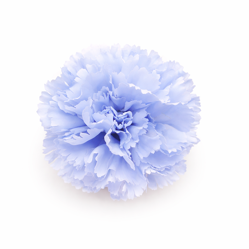 Œillet XL, grande fleur de flamenco, ornement de cheveux pour femme · Bleu cobalt Ø13 cm