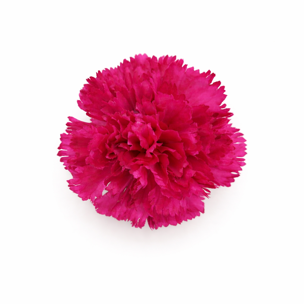 Œillet XL, grande fleur de flamenco, ornement de cheveux pour femme · Bougainvillée Ø13cm