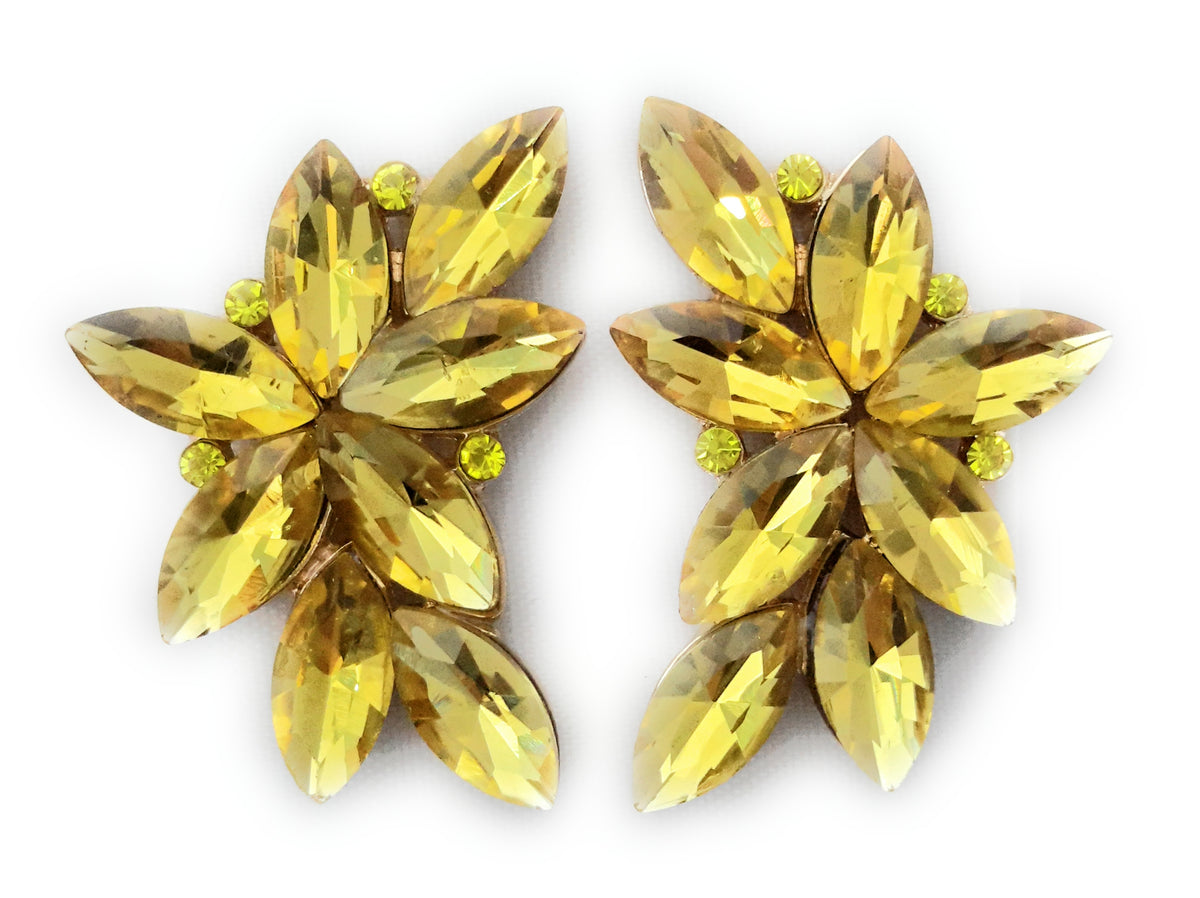 Spektakuläre florale Ohrringe · Orangefarbene Kristalle, Gold