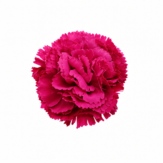 Nelken-Flamingo-Haarschmuck Ø9cm · Bougainvillea