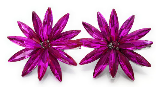 Pendientes Cristales Margarita · Fucsia Claro, Plata (última unidad!)